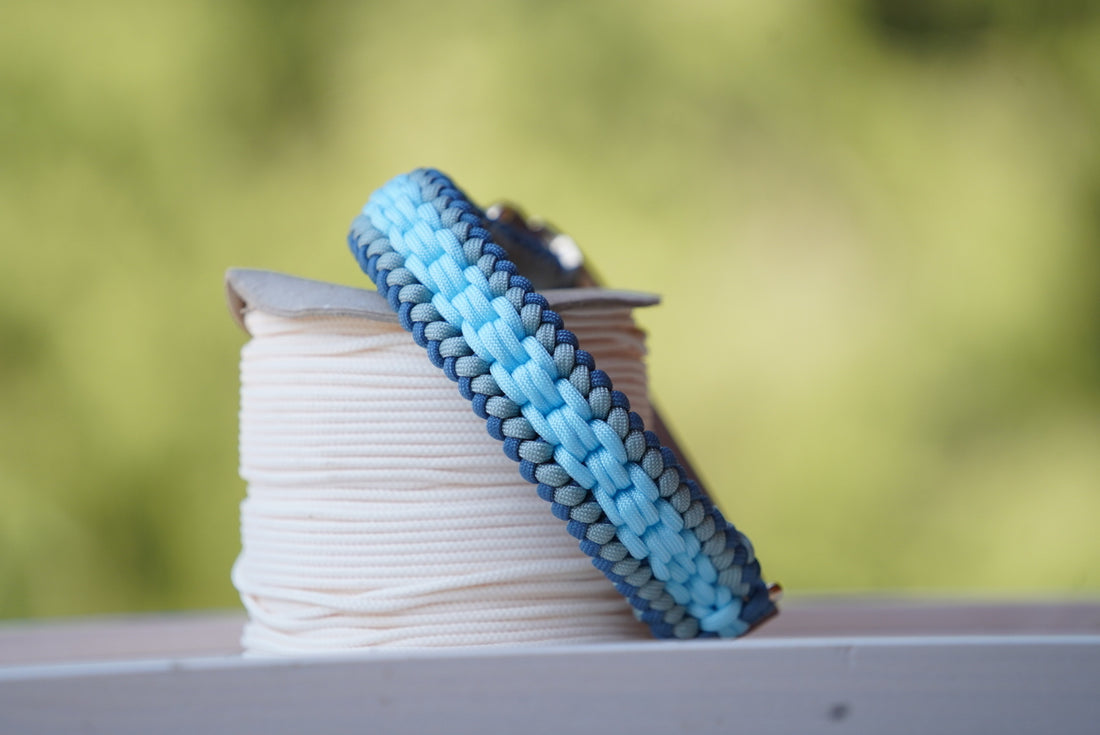 Halsband Blau + Biothane Leine Dunkelblau