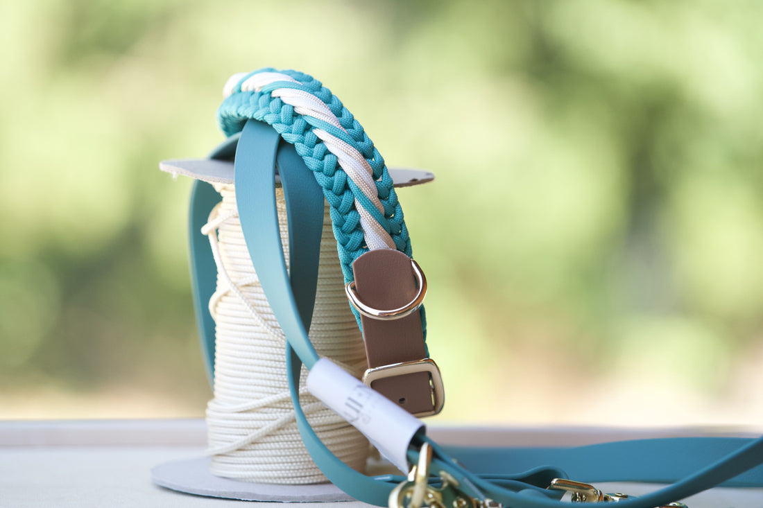 Geflochtenes Halsband Aqua