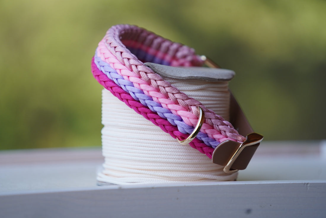 Halsband Pinker Traum+Biothane Leine Rosa