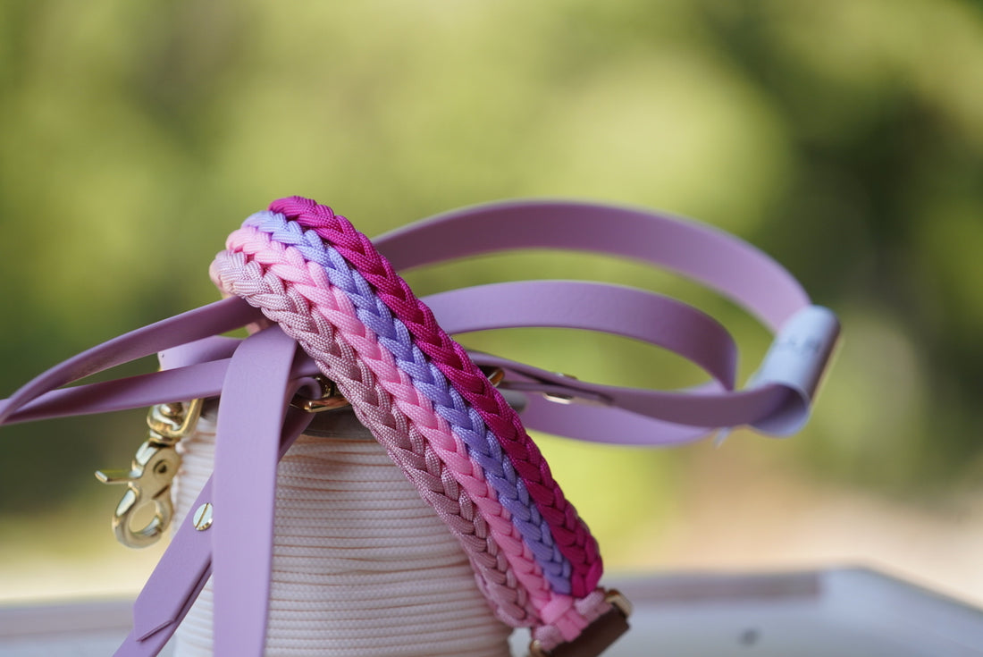 Halsband Pinker Traum+Biothane Leine Rosa